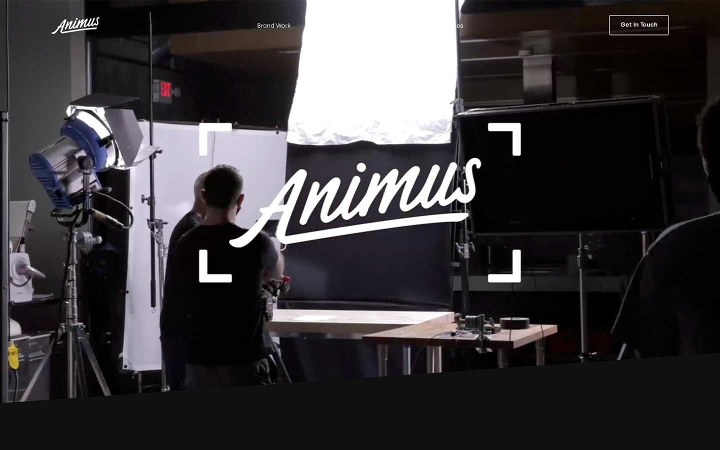 Home | Strategy & Video | Animus Studios